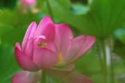 佳能700D拍摄风景景色的魅力（体验佳能700D相机的卓越画质和功能）