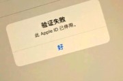 探究苹果电脑中的ID验证错误（解析苹果电脑中ID验证错误的原因及解决方法）