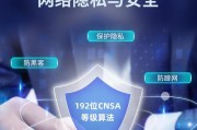 通过WiFi玩CF的优势与问题剖析（探讨WiFi游戏《CF》的便利与挑战）
