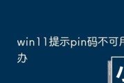 电脑突然弹出PIN错误，如何解决？（快速有效解决电脑PIN错误的方法与技巧）