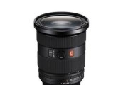 索尼镜头55-300的性能评测（适合远距离拍摄的高性价比选择）