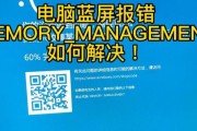 电脑蓝屏错误（应对电脑蓝屏错误的有效措施）